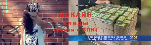 прущие грибы Михайлов