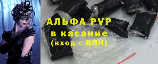 прущие грибы Михайлов