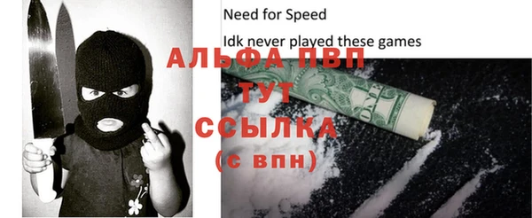 прущие грибы Михайлов