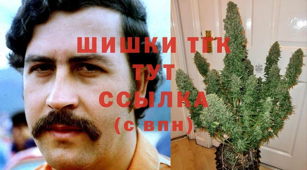 прущие грибы Михайлов