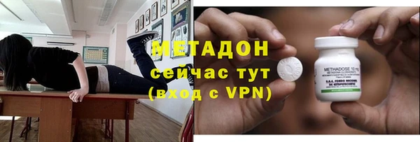 прущие грибы Михайлов