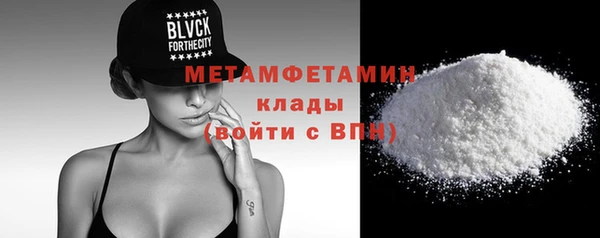 прущие грибы Михайлов