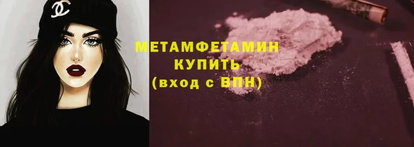 прущие грибы Михайлов