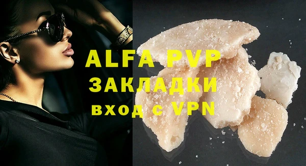 прущие грибы Михайлов