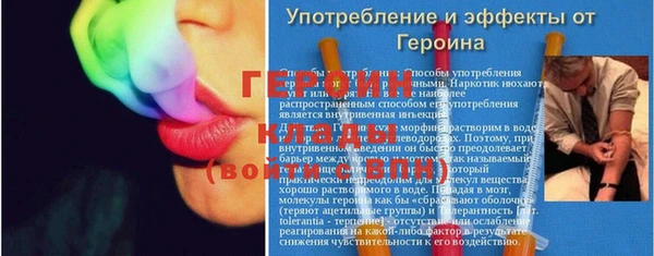 прущие грибы Михайлов