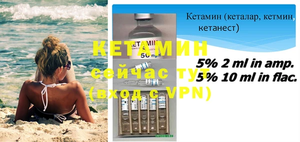 прущие грибы Михайлов