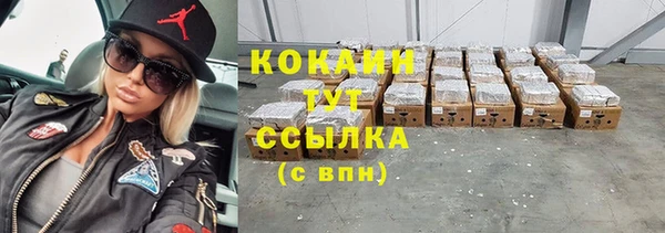 прущие грибы Михайлов