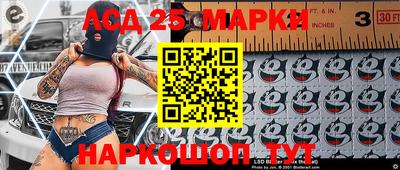 шишки Аргун