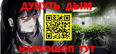 шишки Аргун