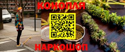 шишки Аргун