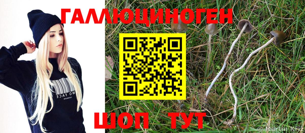 Галлюциногенные грибы прущие грибы  хочу   Джанкой 