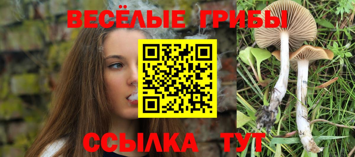 Псилоцибиновые грибы мицелий Джанкой